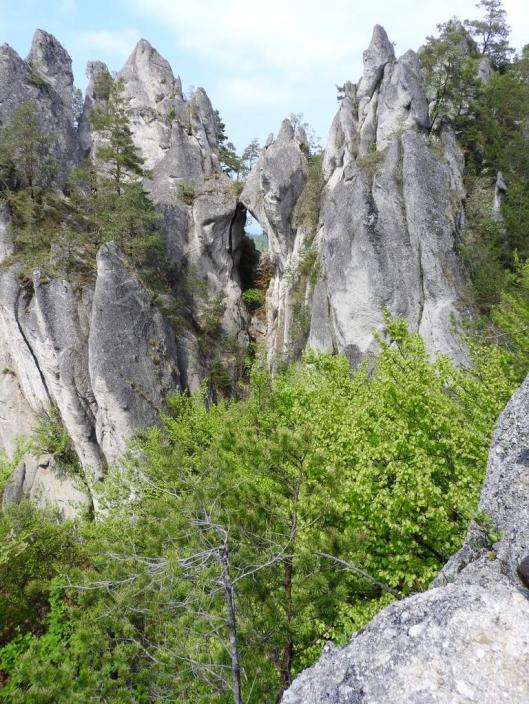 května Novohradské hory zatímco další část se vydala do Novohradských hor za naší náčelnicí Olčou do přírody Novohradských hor, protože na farmě, kde Olča pracuje, se narodila spousta maličkatých