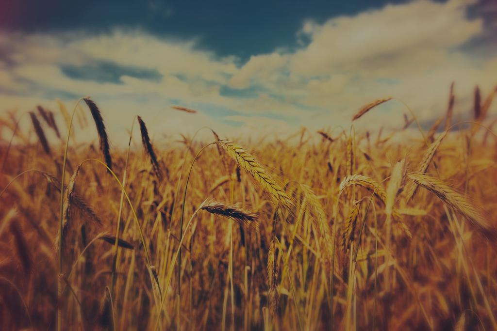FARMA NA DLANI MAGAZÍN AKTUÁLNÍ SORTIMENT ÚNOR 2017 Farma