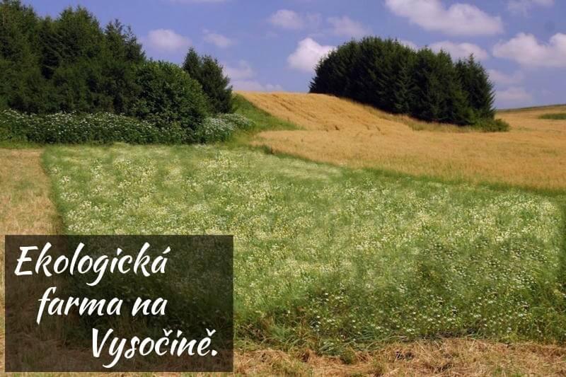 FARMA NA DLANI Kyprův mlýn Na samotné hranici kraje Vysočina a Jihočeského kraje, kousek od Telče se nachází rodinná farma Kyprův mlýn.