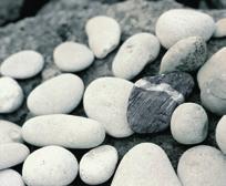 Nabízíme široký sortiment od jednotlivých stavebních prvků až po kompletní stavební systémy pro všechny typy budov včetně obchodních a průmyslových staveb.