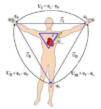 Bipolární Einthovenovy svody (I,II,III) měří rozdíly potenciálů mezi jednotlivými vrcholy trojúhelníku respektive končetinami (pravou, levou rukou a levou nohou), Obrázek 1.