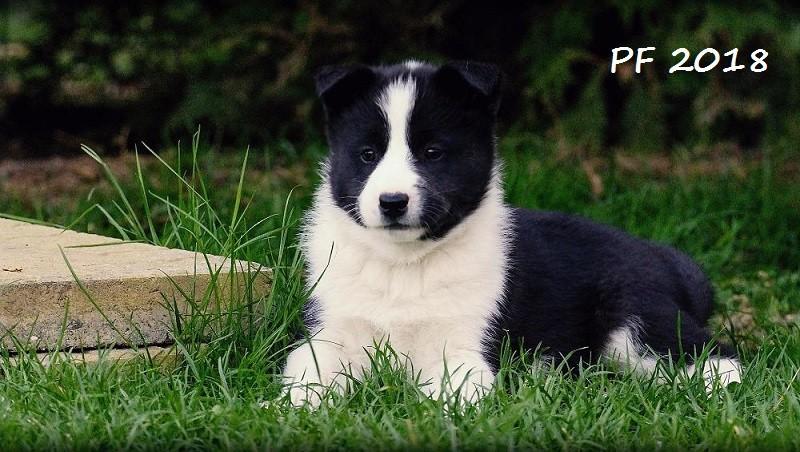 Vše nejlepší do nového roku, hodně zdraví,