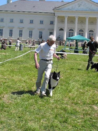 Klubové akce 2017 27.5.2017 Klubová výstava na zámku Kačina Výsledky zde: http://www.karelajky.eu/akce/kv_kacina2017.pdf 27.8.