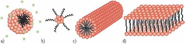 Neionogenní tenzidy jsou polyoxyethylen(3)dekanol, polyoxyethylen(9,5)oktylfenol (Triton X-100) a polyoxyethylen(23)dodekanol (Brij 35).