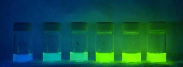 Příloha 4: Část koncentrační řady fluoresceinu v