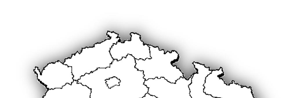 Vedení jednotlivých projektů Vedení organizace ředitel, statutární zástupce:
