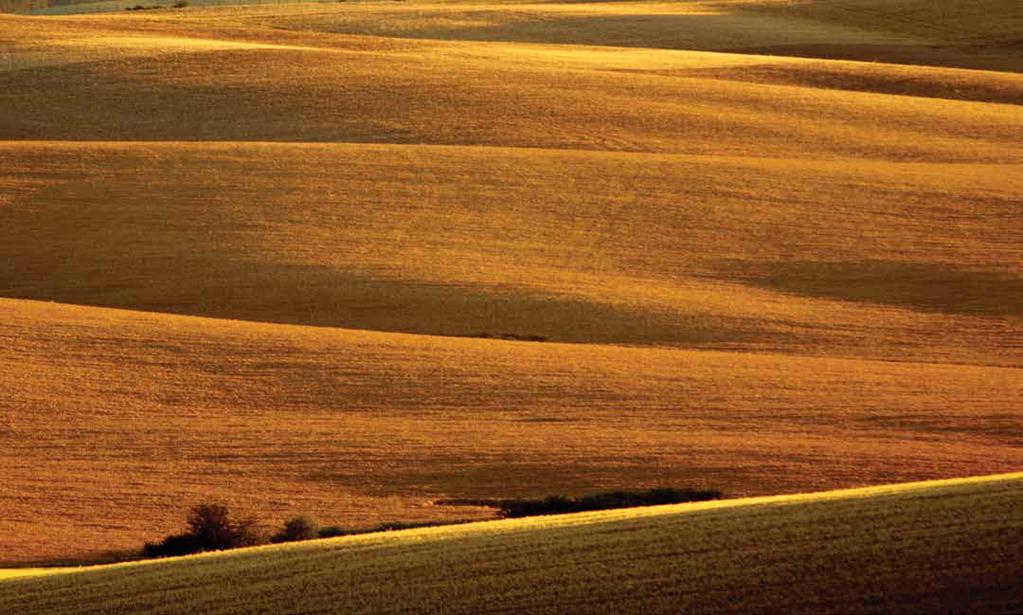 29 OD MASSEY FERGUSON Poezie v pohybu systém AutoLevel Existuje několik skutečně