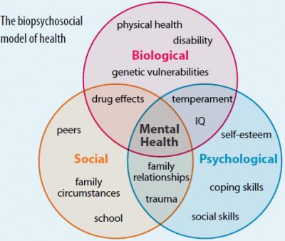 biologické tak psychologické a sociální aspekty V roce 1977 byl jeho bio psychosociální