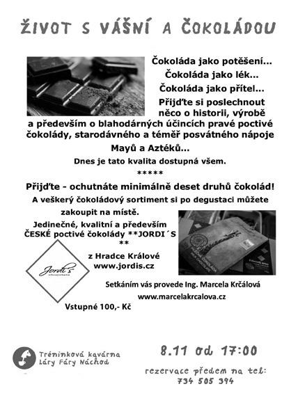 Podařilo se jí vytvořit rozsáhlou a mimořádnou sbírku maleb, kreseb, graiky, plastiky, dokumentace a specializované literatury.
