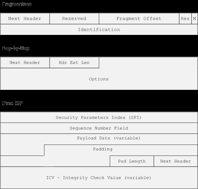 můžeme rozdílné formáty rozšířených hlaviček ukázat na příkladu hlaviček Fragment Header, Hop-by-Hop Header a IPsec ESP, které zobrazuje Obrázek 10.