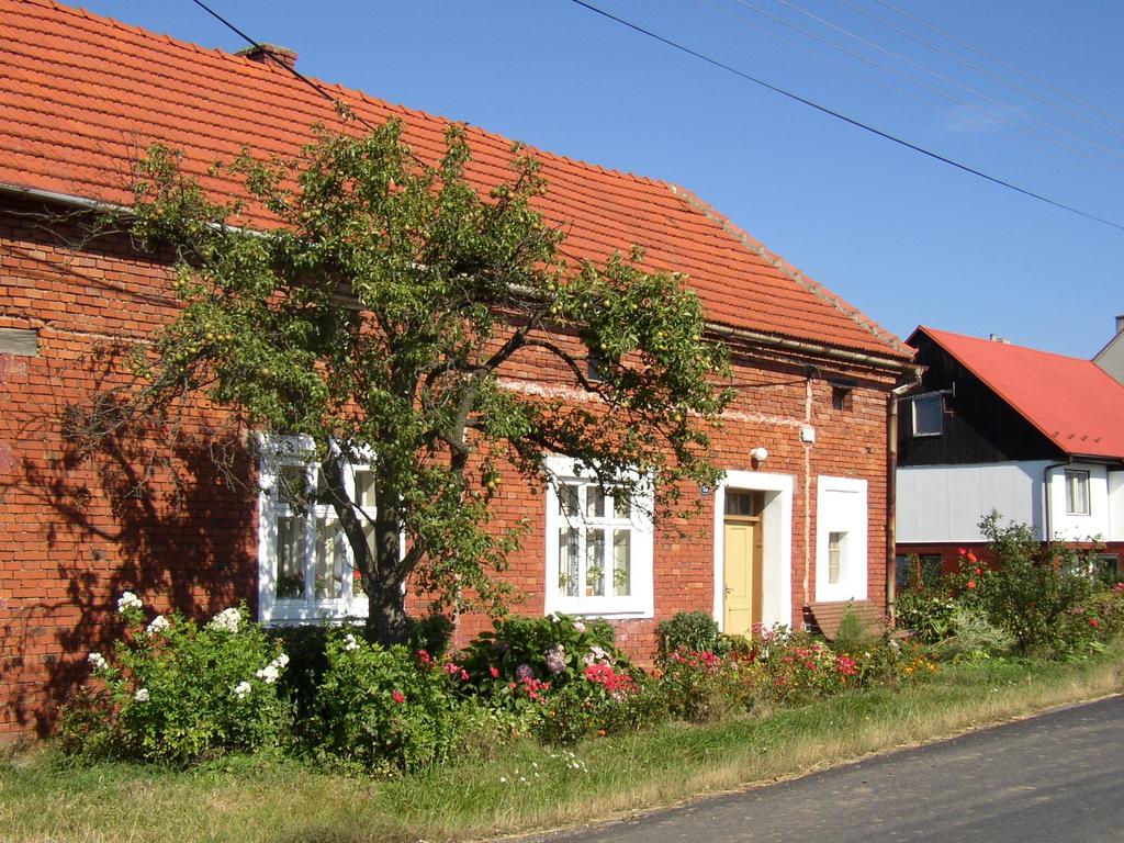 Million Fruit Trees: výsadby ovocných dřevin v