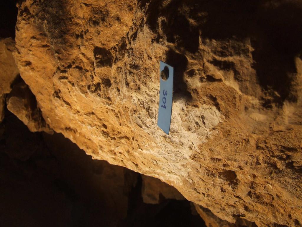 Číslování měřických bodů Číslování měřických bodů podle [2] závisí na velikosti a členitosti jeskynního systému, na metodě měření, na způsobu zpracování.