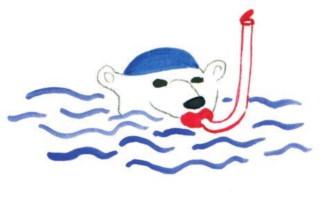 je libo Koupel? o medvědech ledních je všeobecně známo, že zbožňují koupel v ledovém moři, kde skáčou z jedné kry na druhou a loví tuleně, kteří se klidně vyhřívají na slunci.