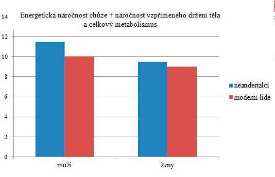 M. Káčerková Energetická náročnost chůze + náročnost vzpřímeného držení těla a celkový metabolismus Energetická náročnost chůze samotné 12 7 10 6 8 6 4 neandertálci moderní lidé 5 4 3 2 neandertálci