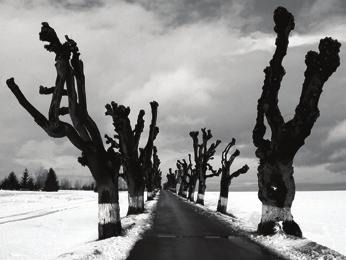 fotosoutěž VÍTĚZ KATEGORIE KRAJINA Atmosféra a kompozice tohoto snímku nás přesvědčila. Jak jsme zjistili po odtajnění jmen, nebyl to rozhodně jediný podařený snímek tohoto autora.
