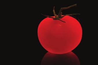 Kresba mraků a stromové kůry se slévá, při převodu do odstínů šedi by si snímek zasloužil trochu experimentování s barevnými kanály.