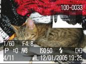 Jestliže máte tuto funkci zapnutou (v režimu fotografování ji najdete v nabídce Mode Rec AiAF On), vybere při zaostřování jeden z devíti ostřících rámečků.