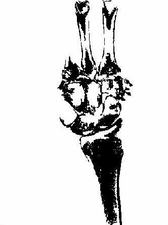 Obr. 6.