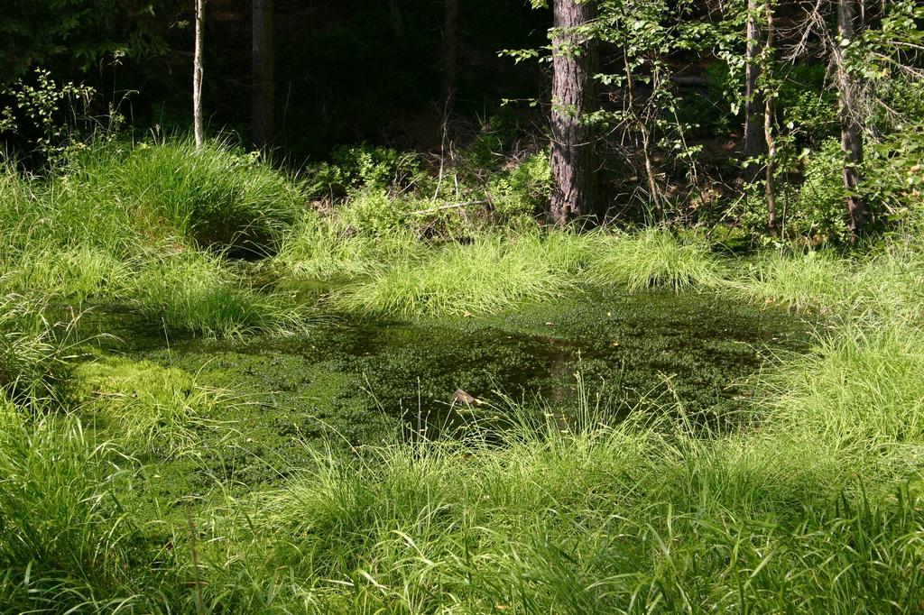 4: Vlčí rokle u Stříbrného