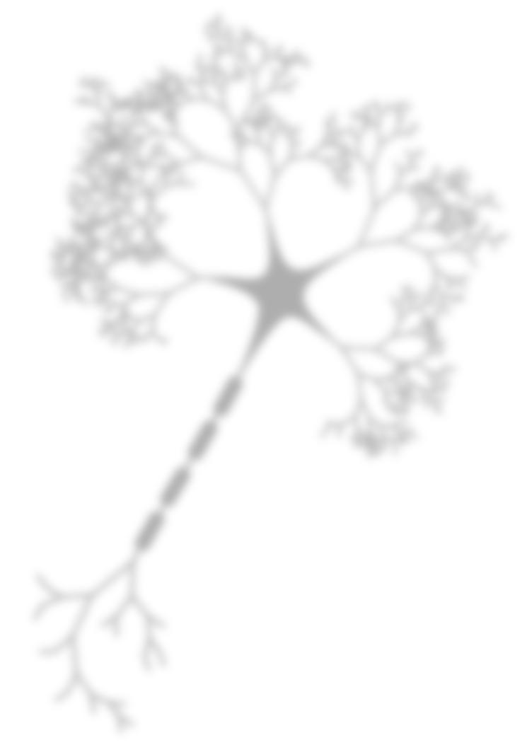 Obrázek 3.1: Biologický neuron [30]. 4. Axon výstupní rozhraní neuronu. 5. Myelinová pochva nehomogenní ochranná vrstva axonu. 6. Ranvierovy zářezy místa kde, je myelinová pochva zúžená. 7.