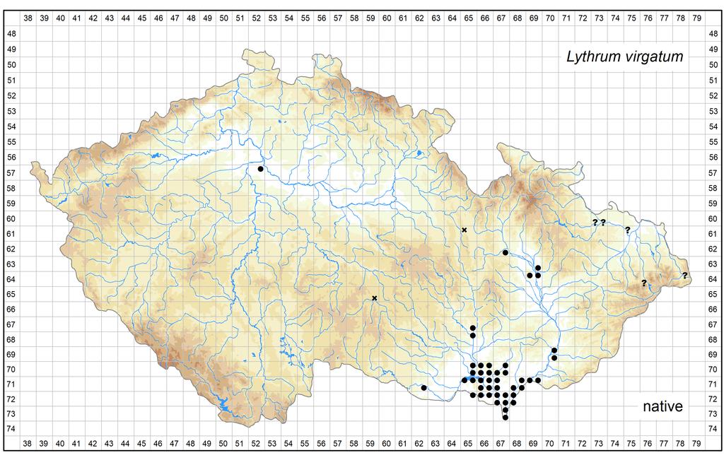Distribution of Lythrum virgatum in the Czech Republic Author of the map: Kateřina Šumberová Map produced on: 12-06-2018 Database records used for producing the distribution map of Lythrum virgatum