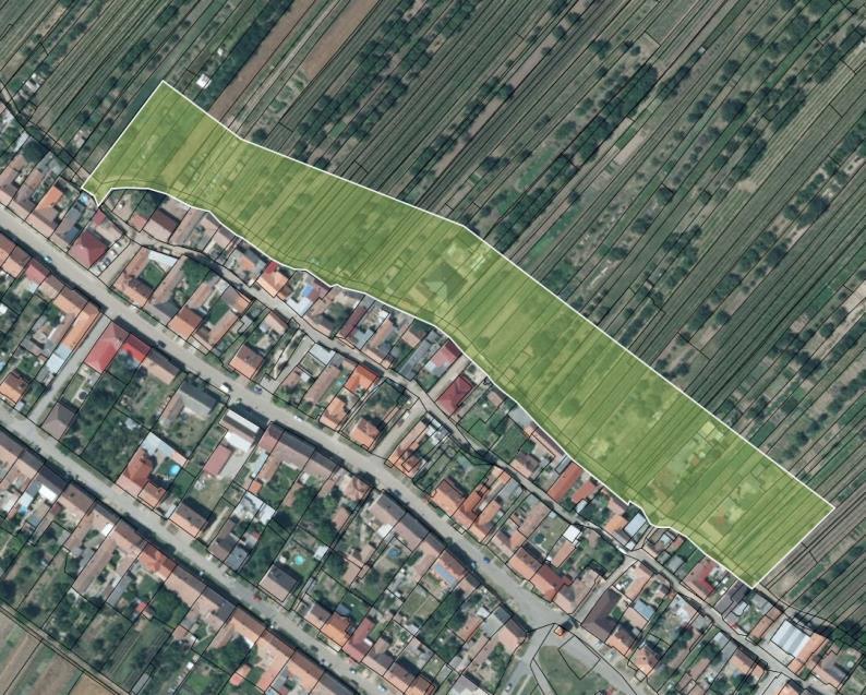Územní studie veřejných prostranství Starý Poddvorov ulice Sádky Základní identifikační údaje Název akce: Územní studie veřejných prostranství Starý Poddvorov ulice Sádky Místo: k.ú. Starý Poddvorov Objednatel: Obec Starý Poddvorov, č.