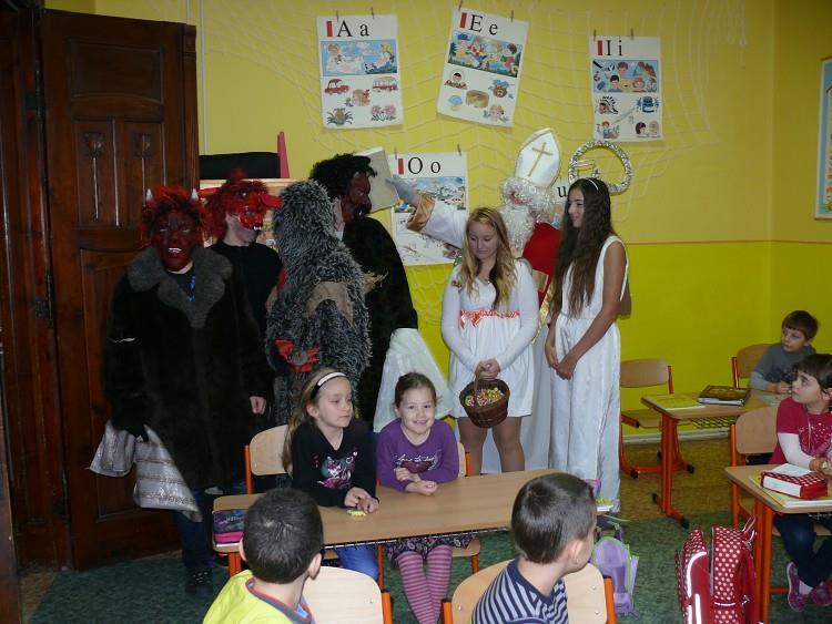 zajímavé naučné pořady "Tajemství stromů"