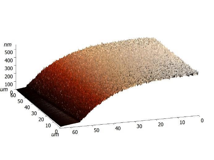 C) 1 vrstva, D) 2 vrstvy, E) 4 vrstvy, F) 5 vrstev Počet Šířka (µm) Výška (nm) Průřez (µm 2 ) vrstev 1 65,9 175 8,79 2 73,9 267 15,36 3 85,6 311 20,51 4 93,7 357 25,03 5