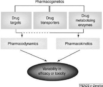 Levels of evidence 1a - systematic review z homogenních RCT 1b - RCT s úzkými intervaly spolehlivosti 2a - systematic review z homogenních z kohortových studií 2b -