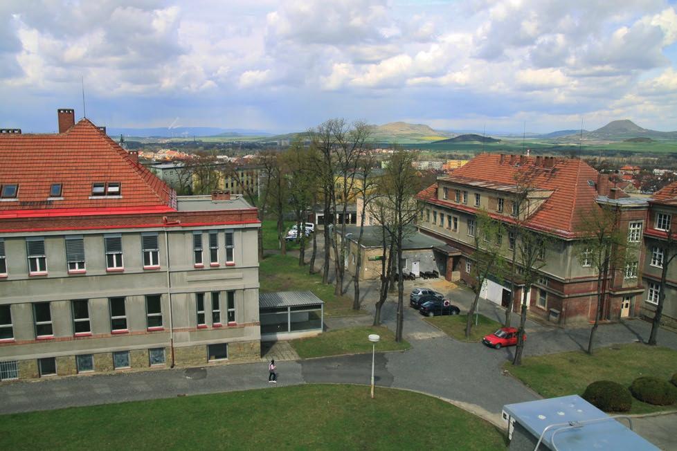 služby. Průměrný věk uživatelů sociální služby byl 79 let, konkrétně šlo o 49 žen a 22 mužů, kteří se neobešli bez pomoci jiné fyzické osoby, a kteří trvale žijí na území Ústeckého kraje.