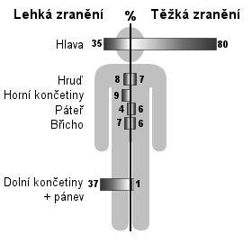 Při nárazu (primární ráz) rychlosti zhruba 40 km.h -1 se začne dolní končetina odvalovat po čele vozidla tvořeného zpravidla nárazníkem, maskou chladiče, světly a spodním okrajem kapoty.