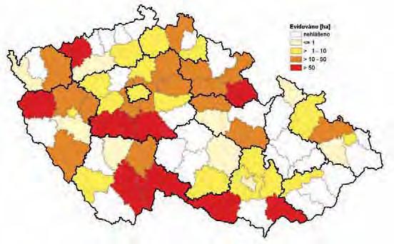 Zpravodaj ochrany lesa. Supplementum 2011 Lophodermium pinastri s. l. in 2010 přirozeném zmlazení byl srovnatelný s rokem 2009.