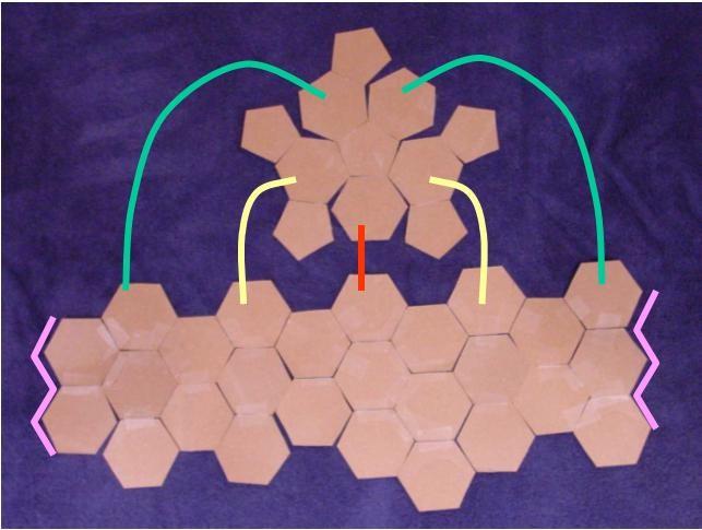 nanotrubice