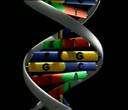 DNA (čili deoxyribonukleová kyselina, zřídka i DNK) je nukleová kyselina, která je