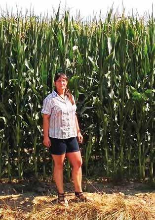 NEJVÝKONNĚJŠÍ UNIVERZÁL ALOMBO 240 Ranost: FAO 240 Typ zrna: mezityp Udržovatel: Freiherr von Moreau Saatzucht GmbH, SRN raný hybrid pro všechny účely pěstování, vhodný na zrno do celé řepařské a