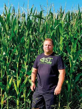 NOVINKA VYNIKAJÍCÍ PODÍL ZRNA V SILÁŽNÍ HMOTĚ CELUKA 220 Typ hybridu: Tc Ranost: FAO 220 Typ zrna: tvrdý mezityp Udržovatel: CEZEA šlechtitelská stanice, a. s., Čejč BOROVANY, okres České Budějovice Ing.