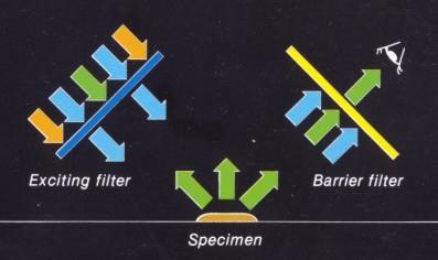 Laserový parsek, který přestavuje ve zjednodušeném pojetí bodový zdroj světla. Bodový parsek získáme průchodem paprsku clonou, která ho patřičně omezí.