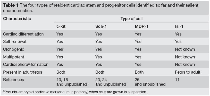 Skutečně existují kardiomyogenní progenitory nebo CardSC?