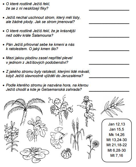 Úkol týdne za 3 body pro 1. stupeň ZŠ a SŠ: V Bibli nacházíme různé druhy rostlin a stromů. Přečti si následující otázky.