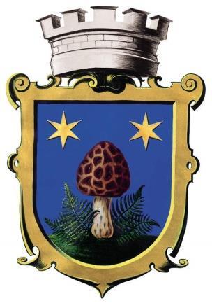 POŘIZOVATEL: OBJEDNATEL: PROJEKTANT: ZHOTOVITEL: AUTORSKÝ KOLEKTIV Městský úřad Smržovka Stavební úřad Náměstí T. G. Masaryka 600 468 51 Smržovka Město Smržovka Náměstí T. G. Masaryka 600 468 51 Smržovka Ing.