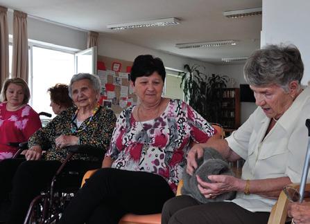 Život v našem městě 84 Zpravodaj 7-8/208 85 Život v našem městě SENECURA SENIORCENTRUM MODŘICE Felinoterapie neboli terapie kočkou v SeniorCentru Modřice Po návštěvě záchranářských a policejních psů