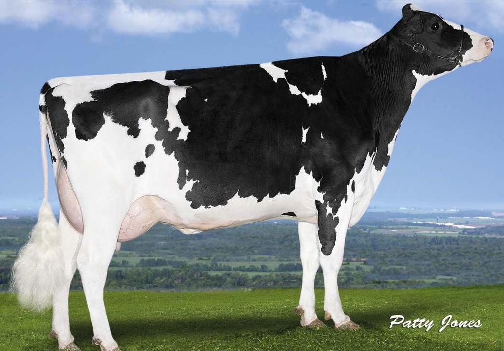 2% 373 kg Celoživotně: 342 92 3.6% 1 253 3.5% 1 192 kg (Montross x Supersire) DN: 13.06.2016 JEDI x ENFORCER x CAMERON Stád 0 Dcer 0 Mléko +764 2768 Tuk +19-0.07 NM$ R % 76 % Bílkovina +29 +0.