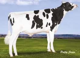 TJR DIESEL NXB-174 MCCUTCHEN x SUPER x BAXTER DE-SU BKM MCCUTCHEN 1174 MORNINGVIEW SUPER DEANN 02-03 305 11 989 3.8% 450 3.