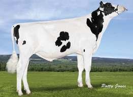 BRYHILL MC GREGOR NEO-599 PURE x MCCUTCHEN x OBSERVER» vysoká plodnost dcer» lehké porody (Mogul x Man-O-Man) DN: 06.10.2014 Stád 0 Dcer 0 Mléko +650 2493 Tuk +26 +0.02 NM$ R % 79 % Bílkovina +19 +0.