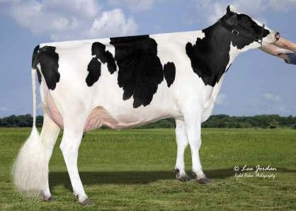 11 krátké # # dlouhé 5.4 FM$ 536 2.