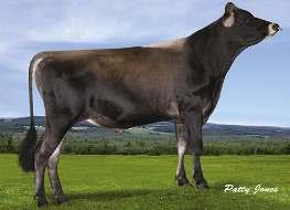 AHLEM GENOMINATOR MARVEL x LEGAL x ACTION PTI Stád 36 lbs % Dcer 242 Mléko +278 138 Tuk +28 +0.07 NM$ R % 96 % Bílkovina +19 +0.04 461 PTAT 2.1 SCS 2.