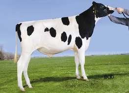 STE ODILE MERLOT SULLY HART MERIDIAN LES091 BAXTER MODEL RUBIS 08-04 305 14 997 4.2% 625 3.