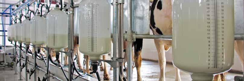 Produkce mléka (kg) z ha Stravitelost orgaické hmoty vyšší stravitelost OH = vyšší příjem krmiva + vyšší produkce mléka Způsob dozráváí rostliy Typ zra počátečího vývoje Tolerace ke staovišti Počet