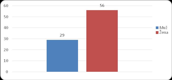 29. Pokud jste v předešlé otázce odpověděl/a ANO, uveďte, o jakou nerovnost v přístupu se jednalo. 30.