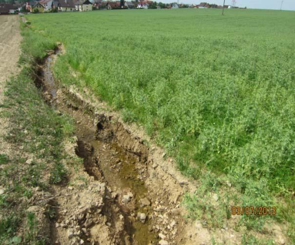 Standardy dobrého zemědělského a environmentálního stavu (DZES) zaměřené na ochranu půdy DZES4(pokryvpůdy) ponechání minimálního pokryvu půdy v období po sklizni, v mimovegetačním období omezení